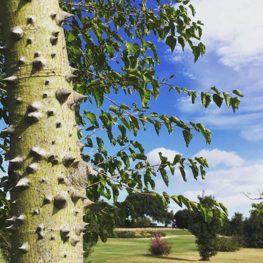 Sacuba & Botanic Golf Club Olbia